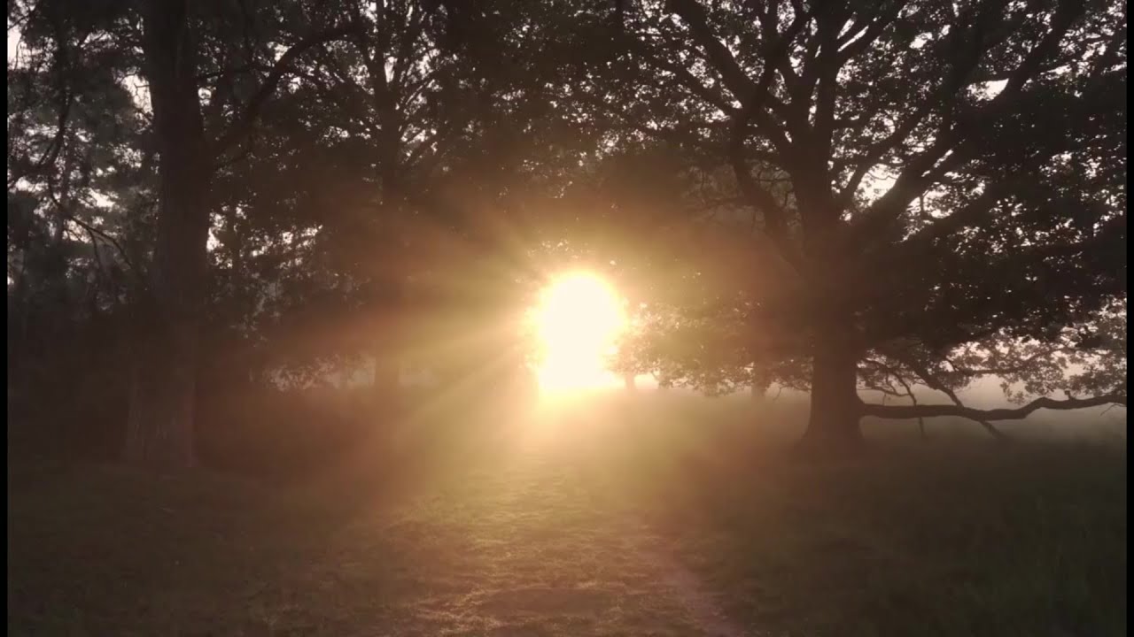 Main Character Energy Abundance Meditation