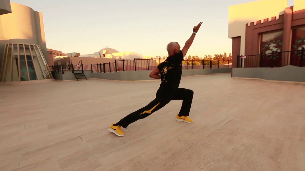 Senz Wu Wei Wing Tzun - Freies Training - von Justine Wilke
