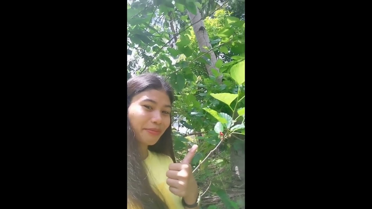 #biodiversitymatters #mulberryfruit #sciencevlogs