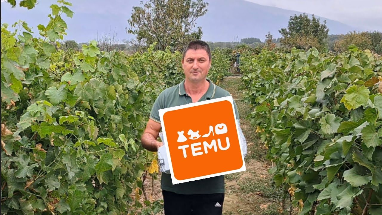 Аксессуары для виноградарства от TEMU