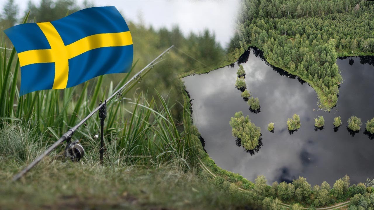 Karpfenangeln in Schweden an einem kleinen Waldsee