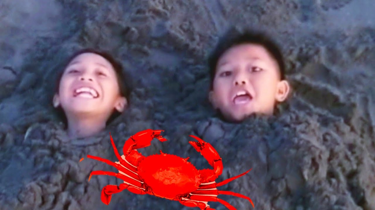 Lucu manusia Kepiting sembunyi dalam pasir 🤣