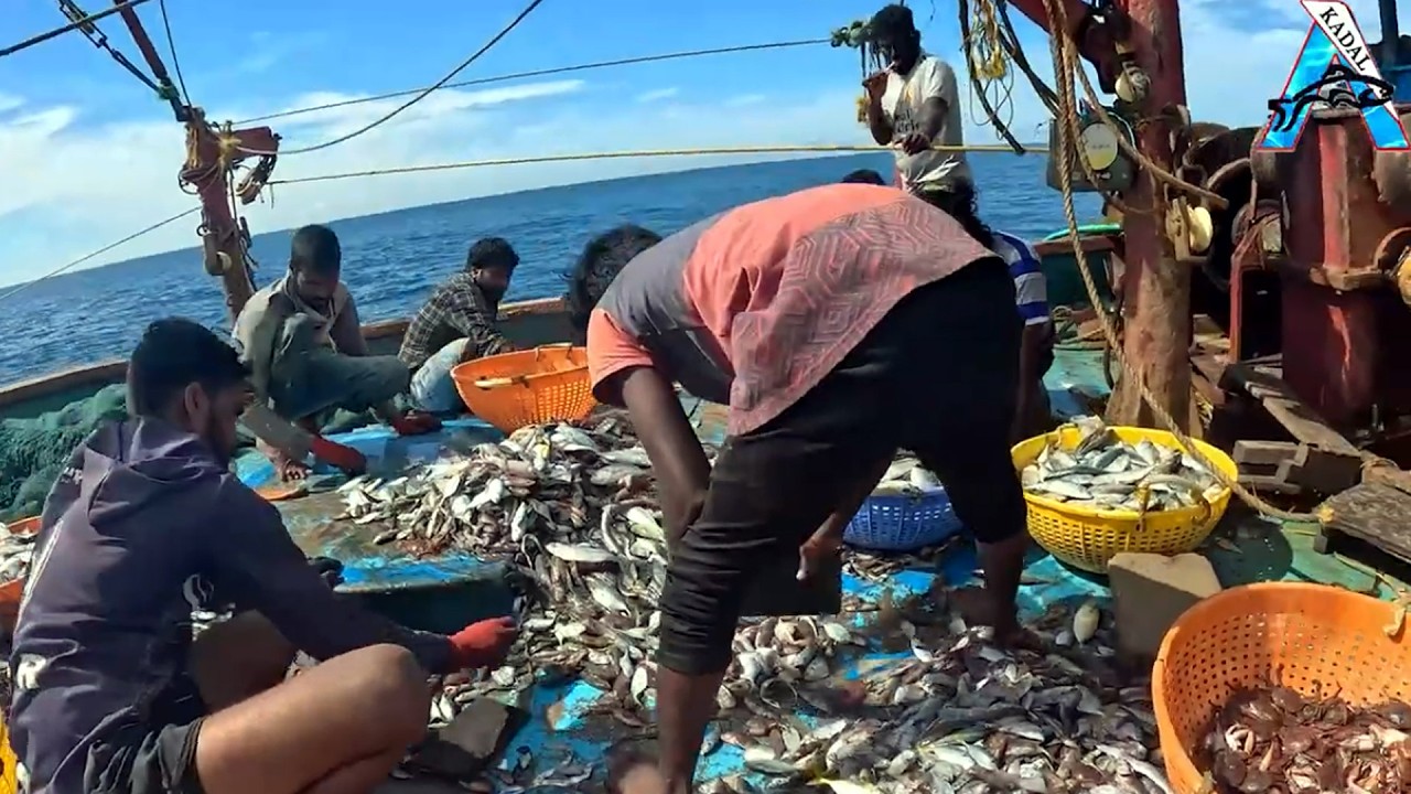 ''Morning Haul on the Open Sea