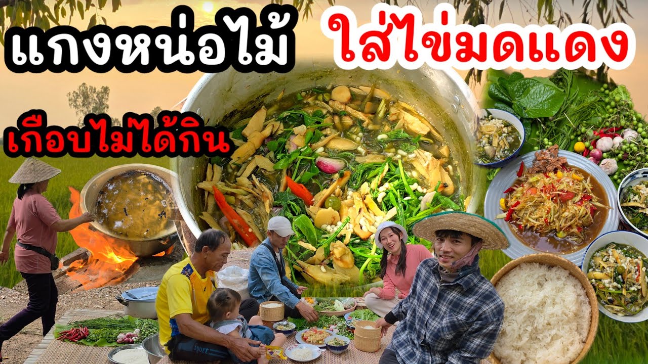 EP.161 แกงหน่อไม้ใส่ไข่มดแดงและผักหวาน เกือบได้กินแกงหน่อไม้เผา 