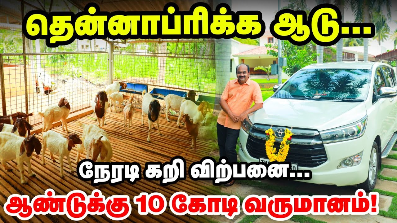 வீடுதேடி வரும் கிராமத்து கறி... | ஆண்டுக்கு 10 கோடிக்கு வருமானம் ஈட்டும் Navaladi Farm