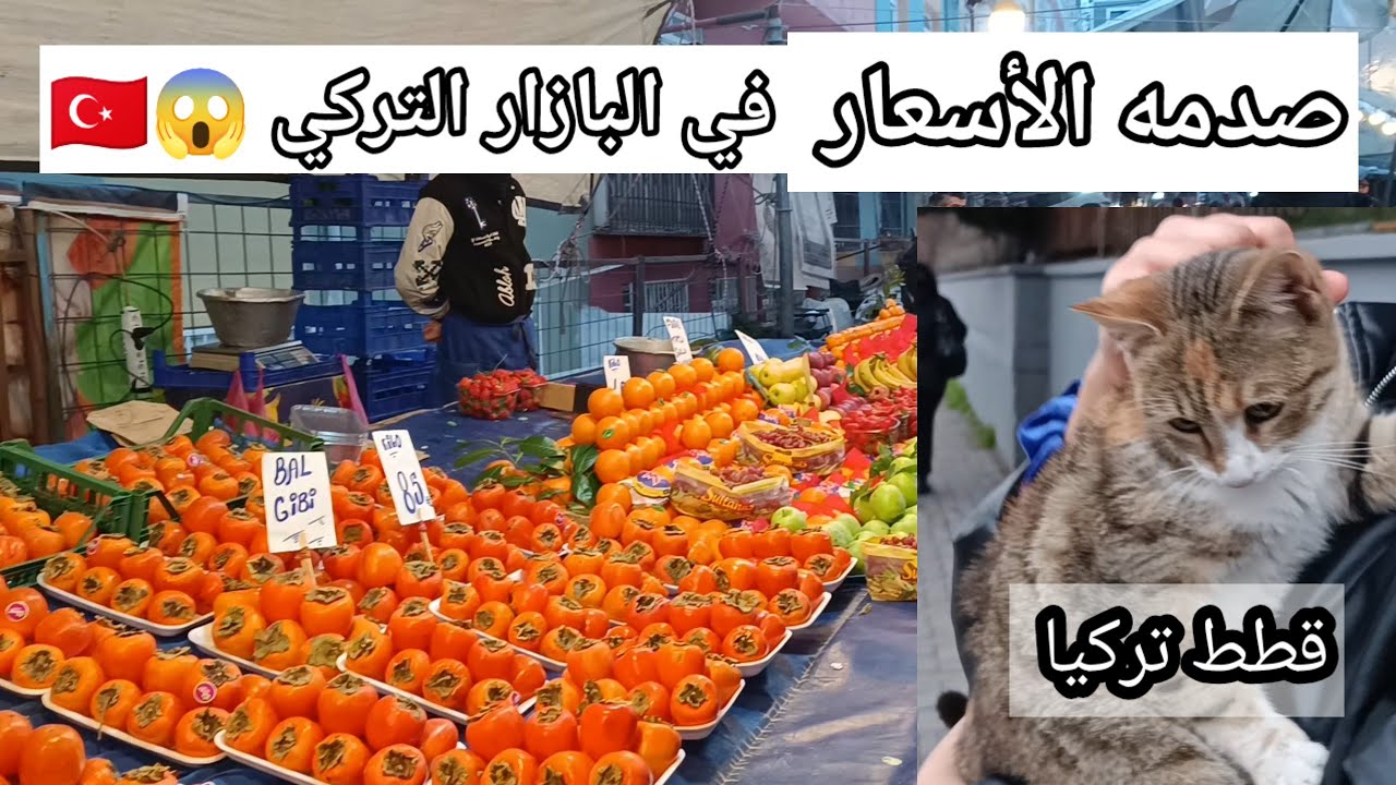 الأسعار في البازار التركي انصدمت 😱 دلال القطط في اسطنبول/أم سما في تركيا 