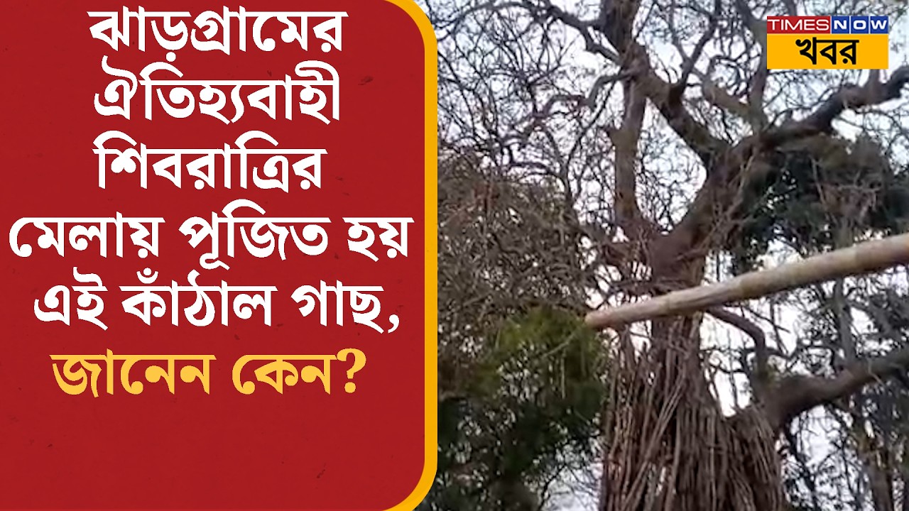 Jhargram News: ঝাড়গ্রামের ঐতিহ্যবাহী Shiv-রাত্রির মেলায় পূজিত হয় এই কাঁঠাল গাছ, জানেন কেন?