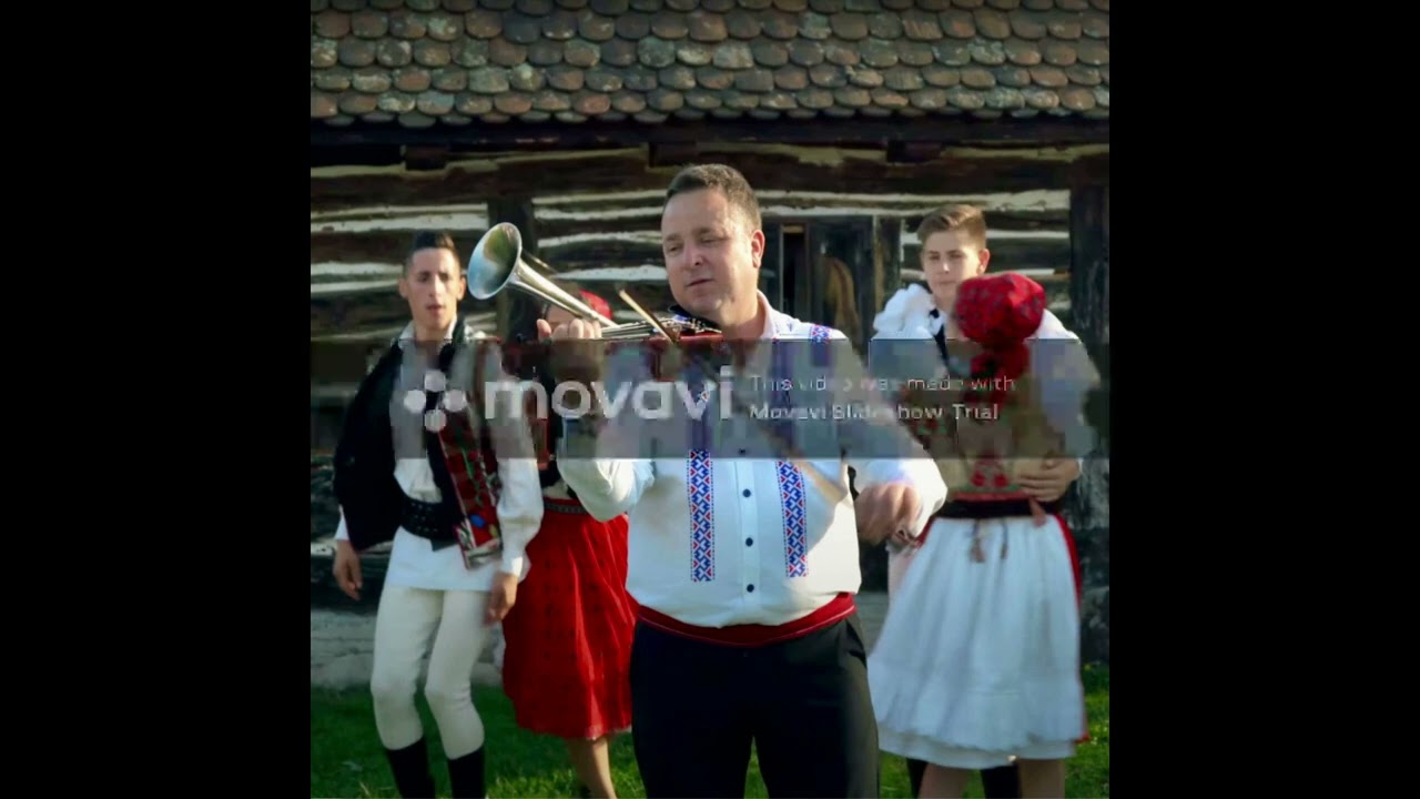 Vioara cu goarna - Stangaciu - super colaj