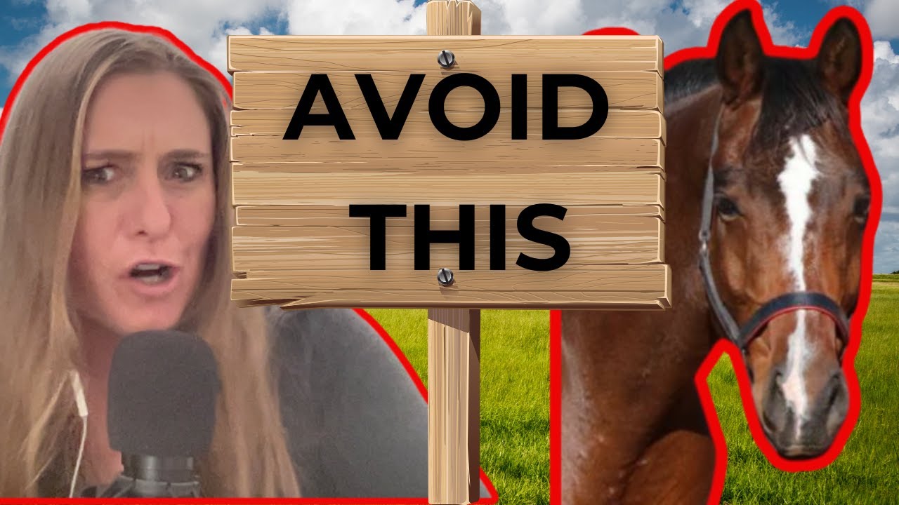BEGINNER HORSE RIDING MISTAKES [Top 3]
