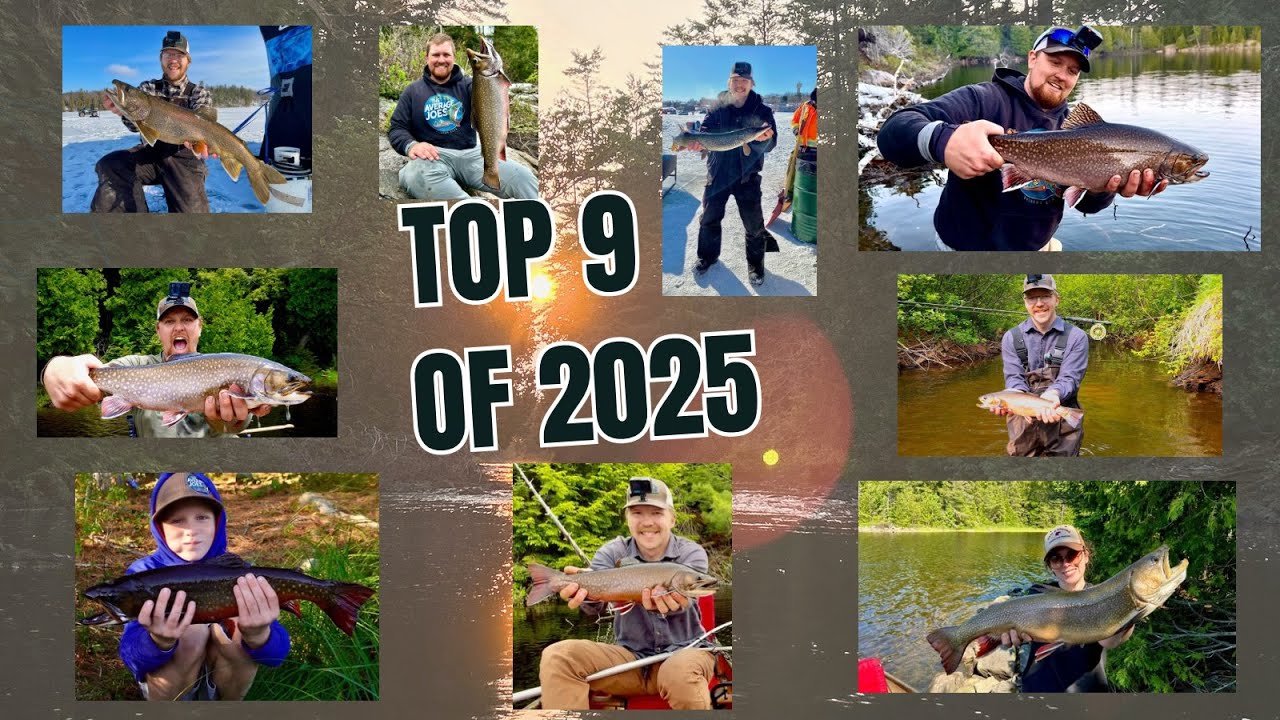 BEST CATCHES of 2025 - Happy New Year Average Joes!