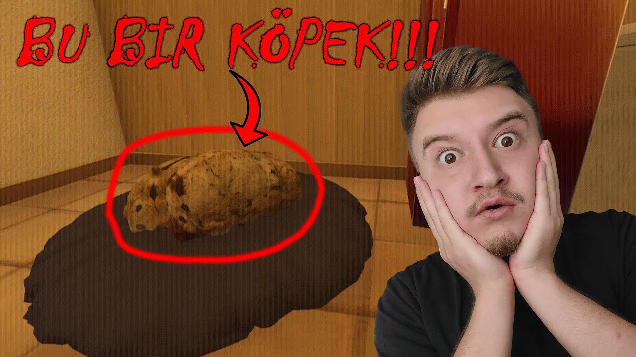 BİR KÖPEĞE(ŞÜPHELİ) BAKICILIK YAPIYORUM!