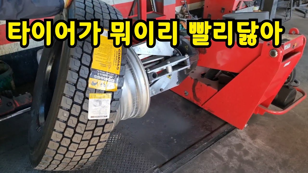 미쉐린 바꿀 돈 없습니다 안전이고뭐고 싼걸로 갑니다 그냥