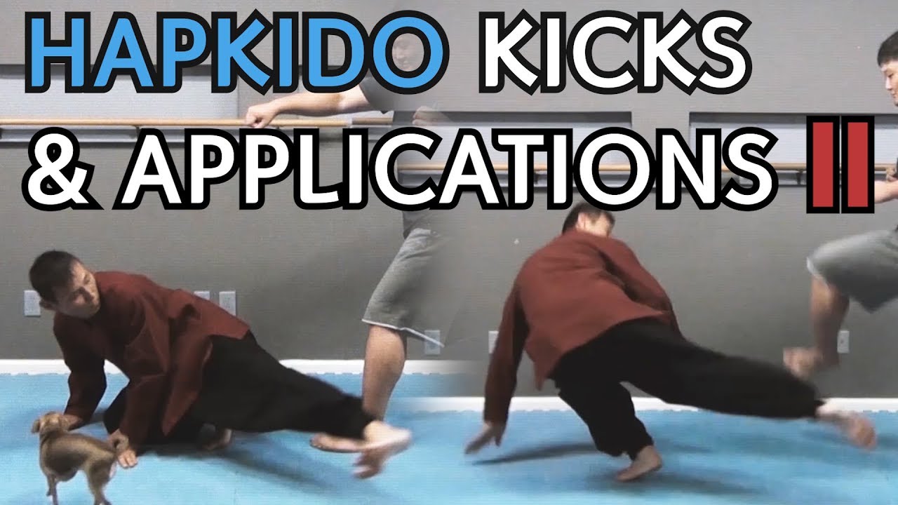 HAPKIDO KICKS & Applications Part 2 | Self-Defense Kicking Techniques | TaekwonWoo