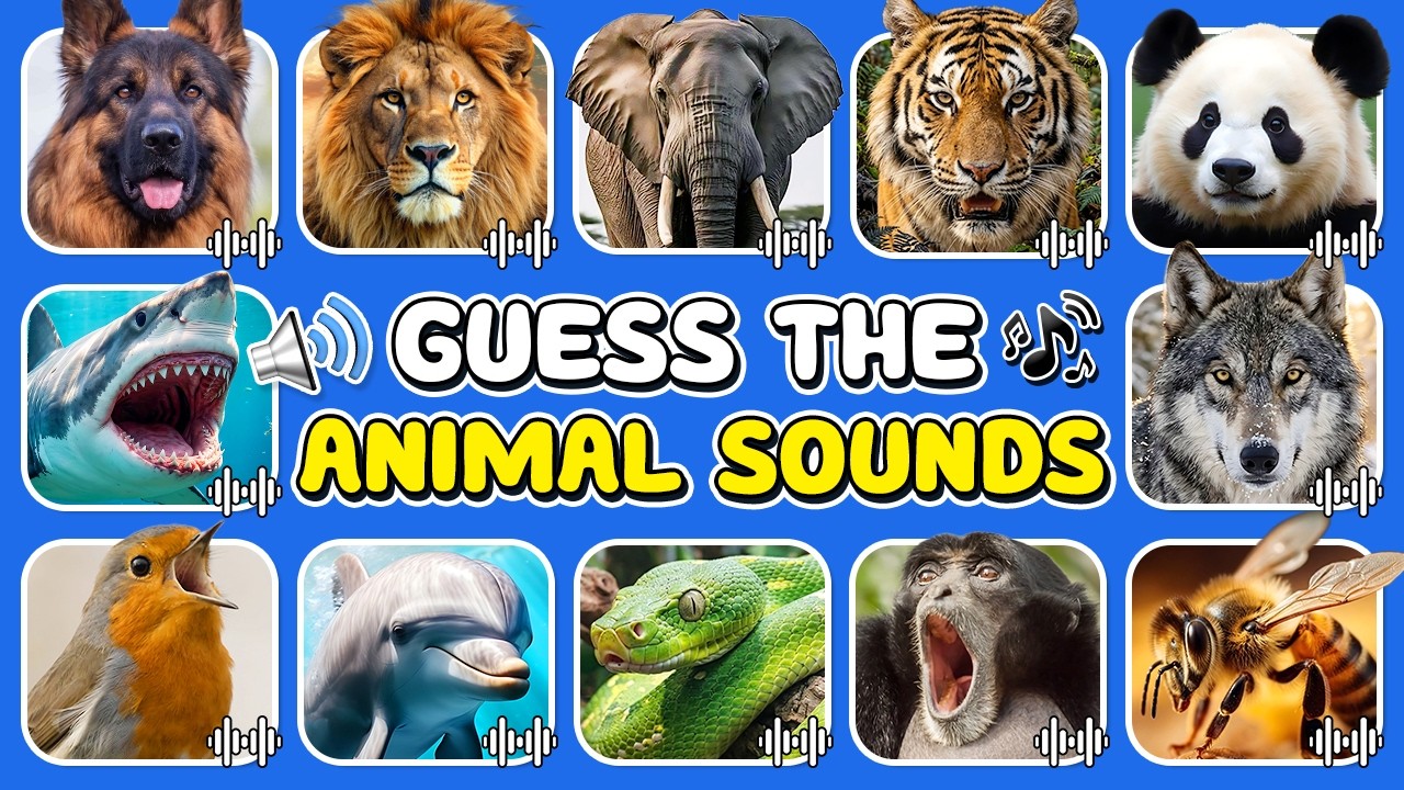 Guess 50 Animals by The Sound 🔊🦁🐼 | Animals Sounds Quiz