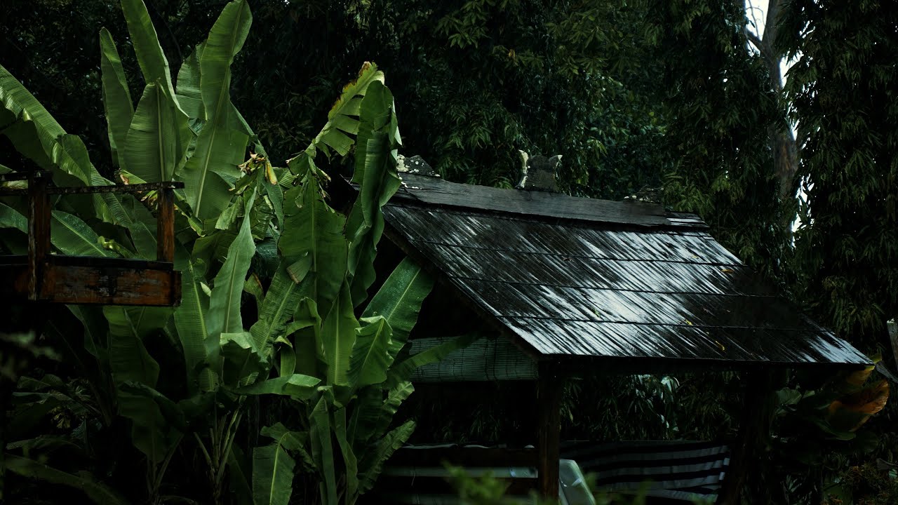 🌧️ Rain Sounds on Rustic Tin Roof Surrounded by Lush Banana Trees | ASMR for Sleeping