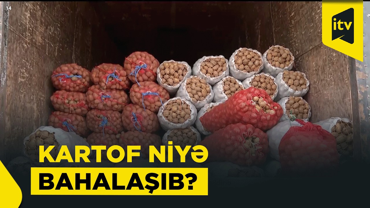 Bazarlarda kartof niyə bahalaşıb?
