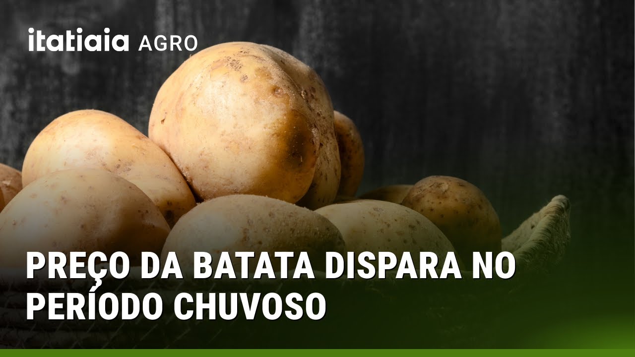 PERÍODO CHUVOSO FAZ PREÇO DA BATATA DISPARAR NO BRASIL