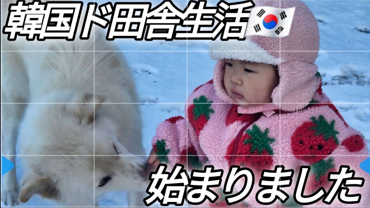 【韓国生活/Vlog】韓国在住4ヶ月目のとある1日