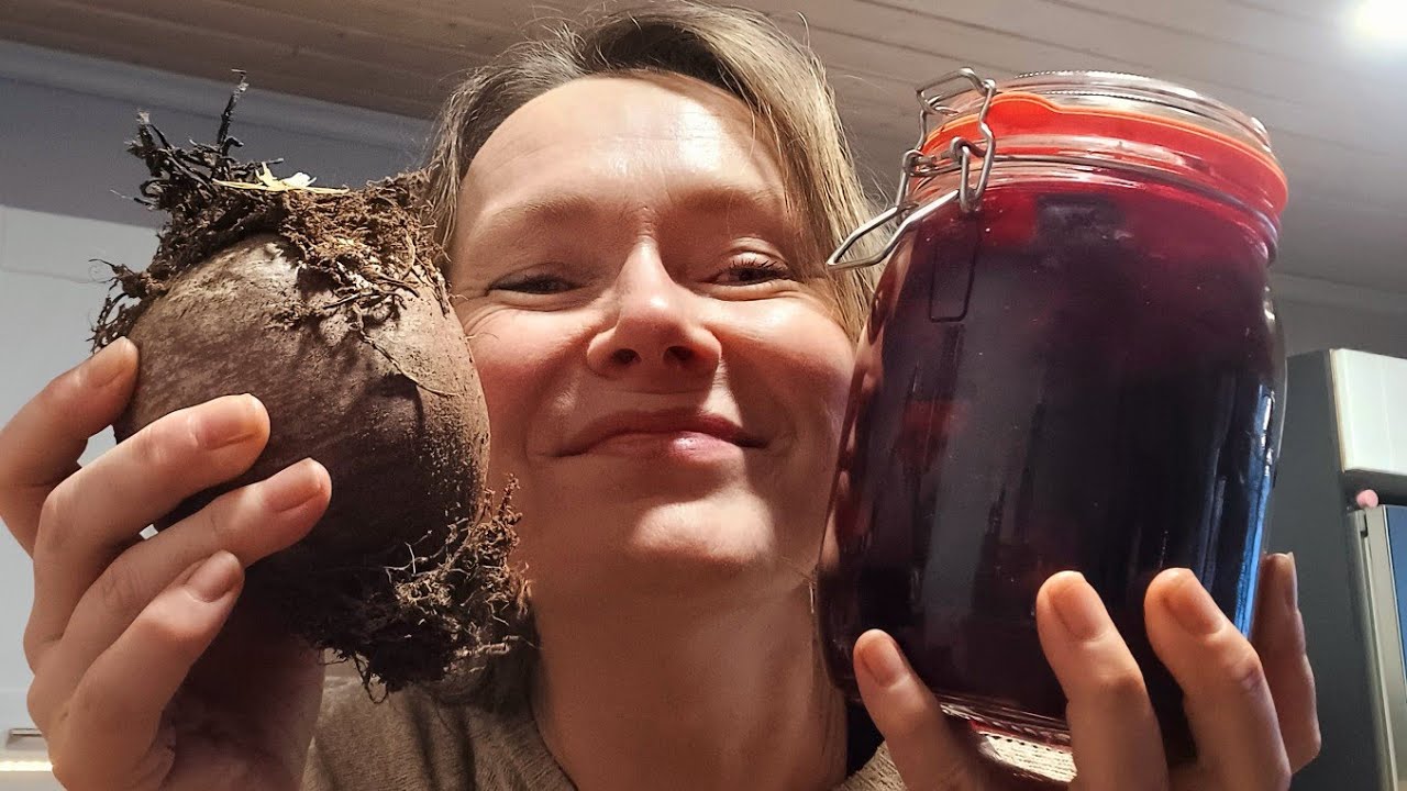 Maakellarista joulupöytään! Fermentoi punajuuri #fermentoi #sato #maakellari #ruoka #terveys 