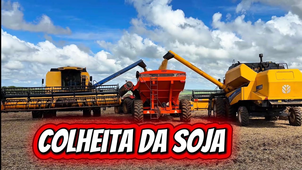 Colheita da soja 2026