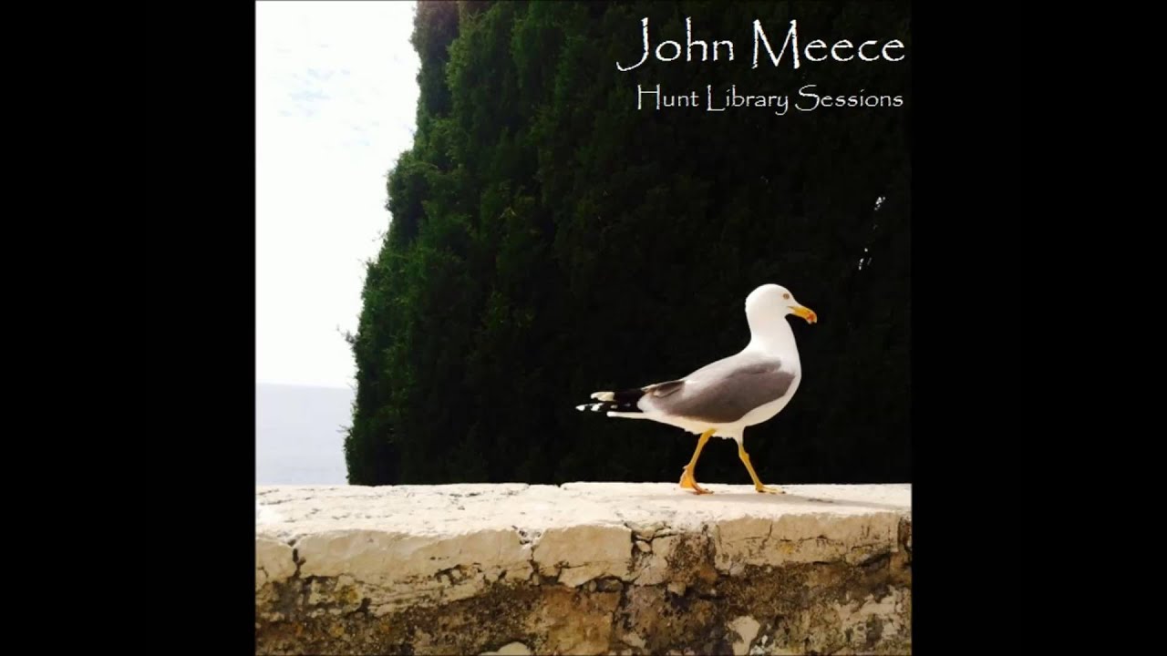 Flowers in Your Hair (The Lumineers Cover) by John Meece