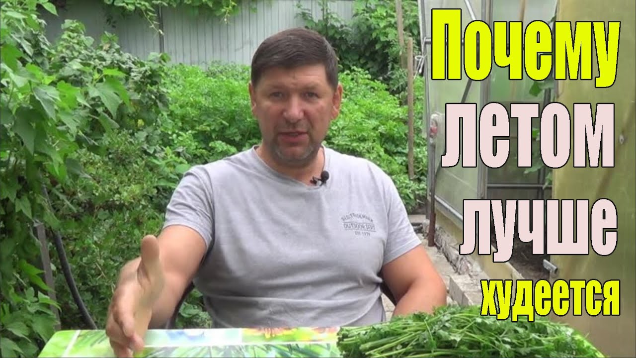 Лучшее время для похудения и тренировок.