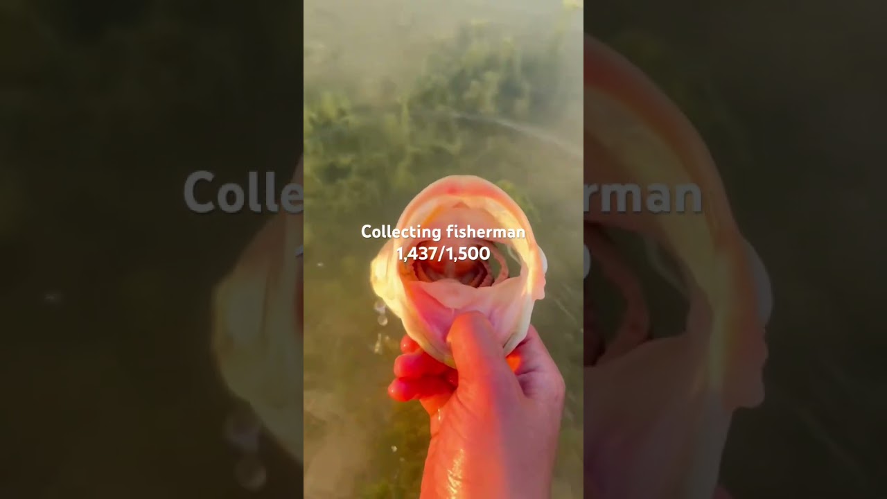 Subscribe for fishing content. 👀🎣❤️🙏#fishing #fishingshorts #recommended #shorts