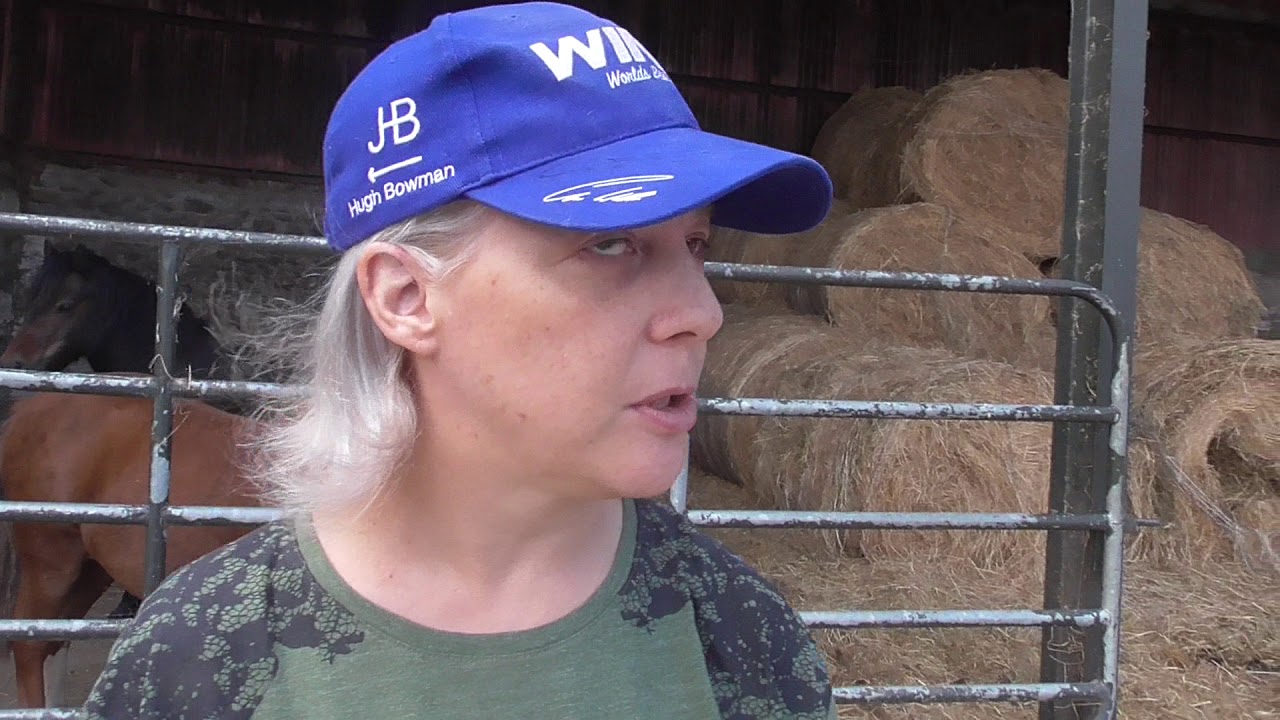 Our Visit to Killegar Stables Co Wicklow, Thurs 29th Aug 2019, video 1