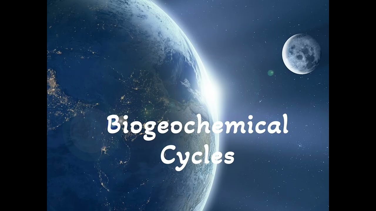 Ecology Notes 2026