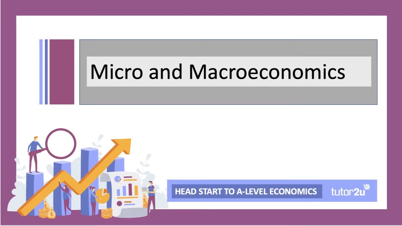 Introduction to Micro and Macroeconomics | Head Start in A-Level Economics
