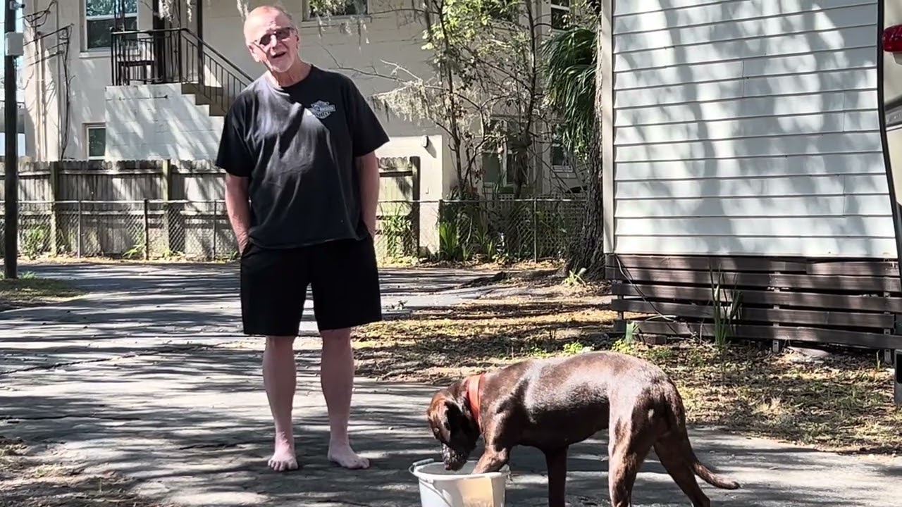 A dog & A Bucket 