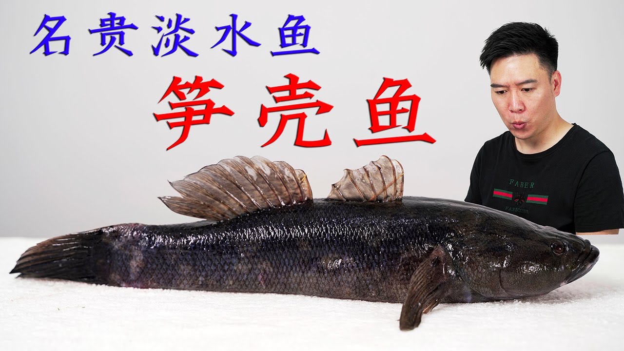 粉丝钦点的名贵淡水鱼—笋壳鱼，终于找到了，肉质细腻、味道鲜美。【小文哥吃吃吃】