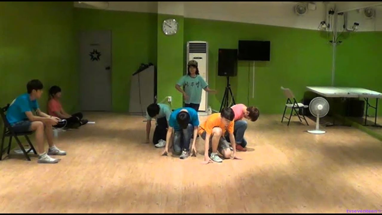 130709 SEVENTEEN TV Titanium dance practice