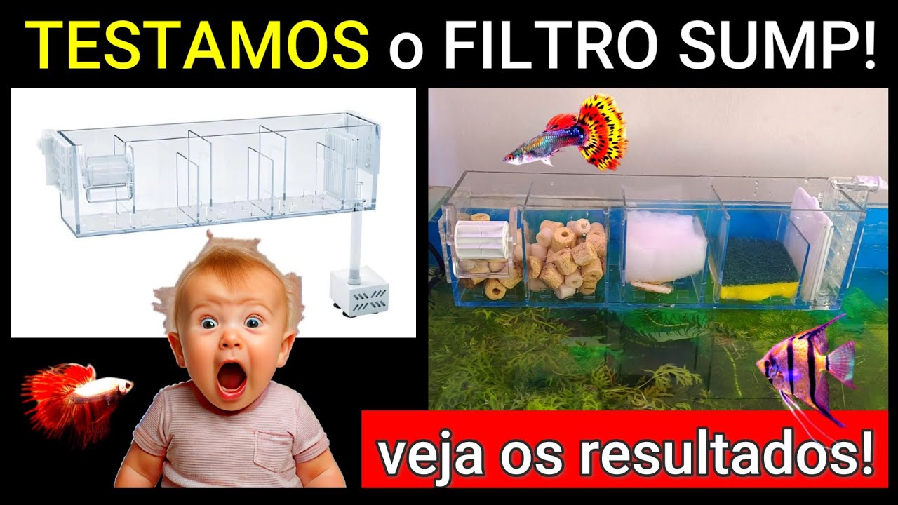 TESTAMOS o FILTRO SUMP ACRÍLICO para AQUÁRIOS #aquario #aquarismo