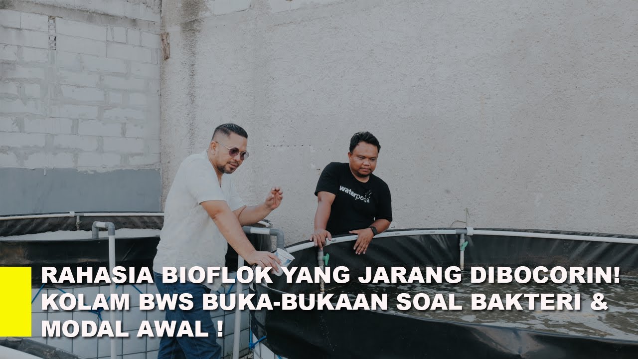 Ngobrol Santai soal Budidaya Ikan Nila: Ternyata Gak Serumit yang Kamu Pikir!