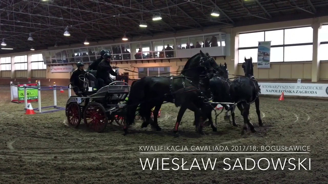 Wiesław Sadowski; Kwalifikacja Cavaliada 2017/18; Bogusławice