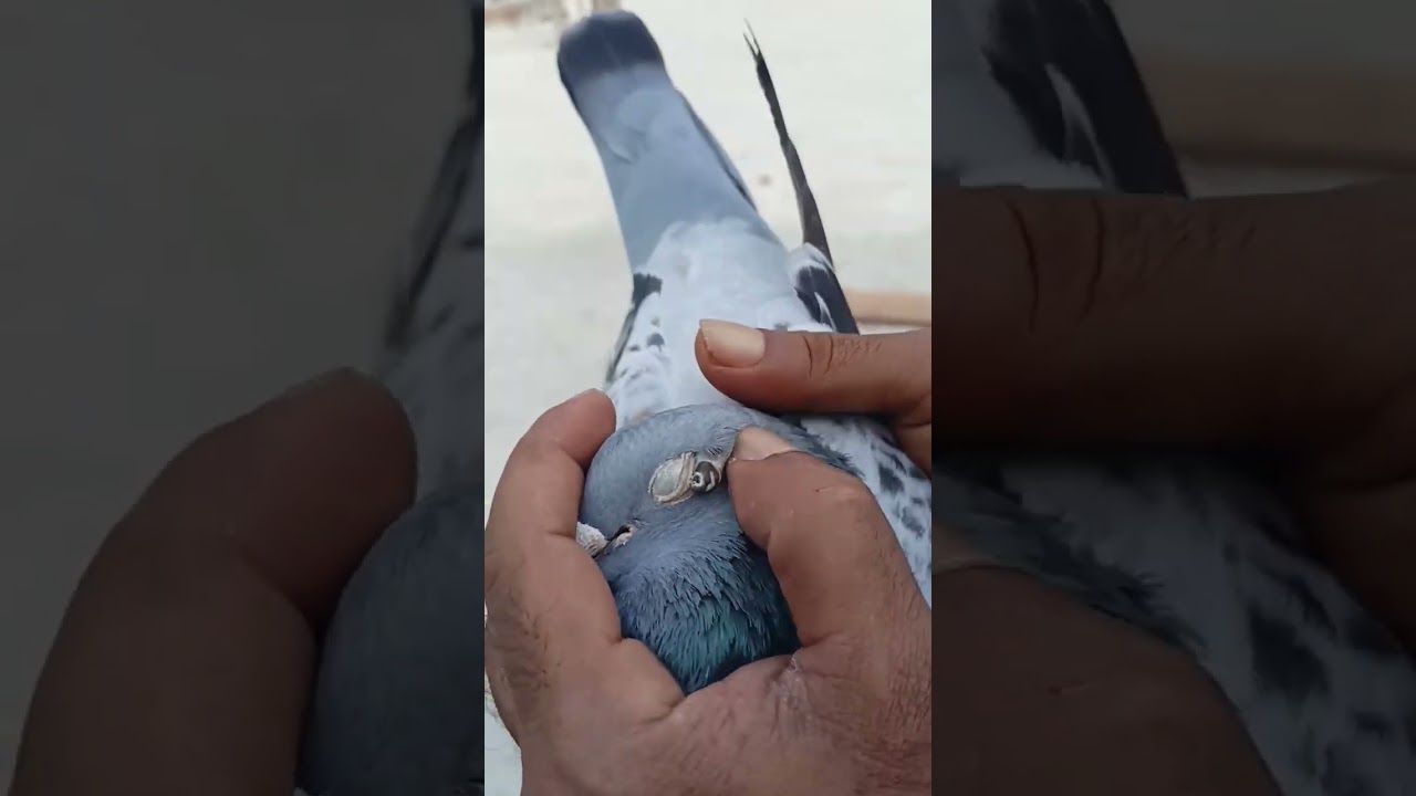 Strangely satisfying seeing that removed.