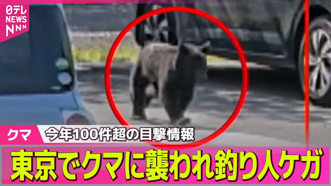 【クマ】各地で出没、都内でも…　山形では住宅街で中学生が追いかけられる── ニュースライブ（日テレNEWS LIVE）