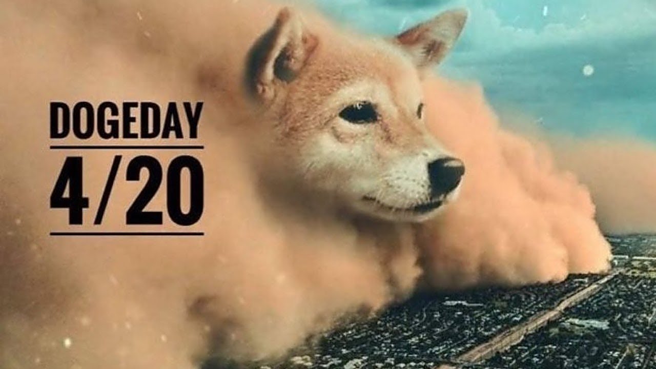 DOGE COIN DAY 420