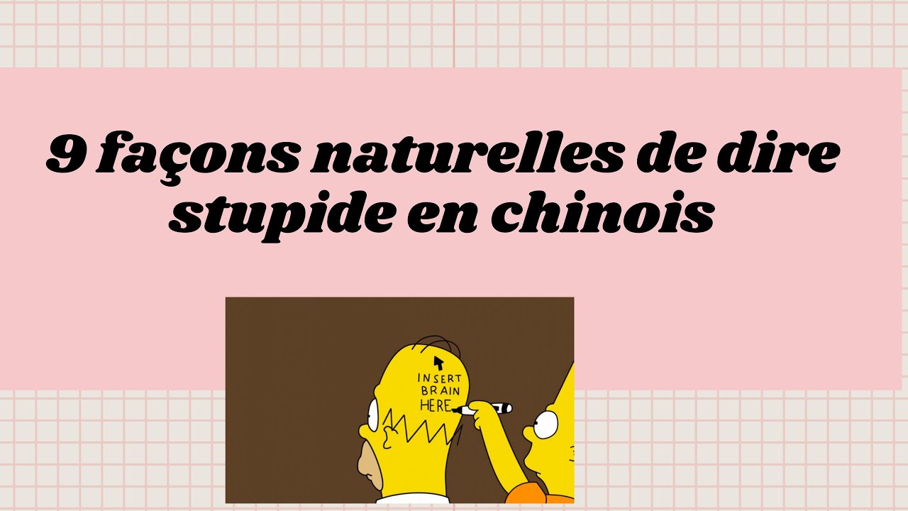 Comment on dit stupide en chinois?