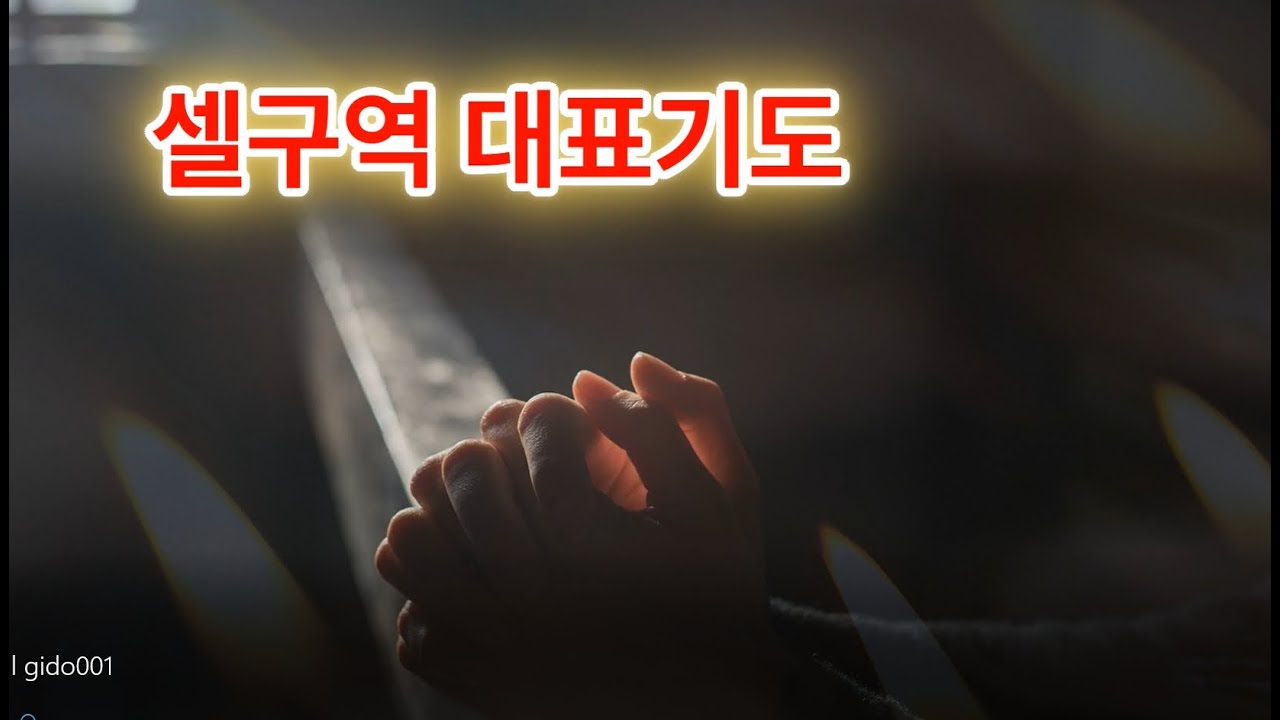 셀 구역 대표기도