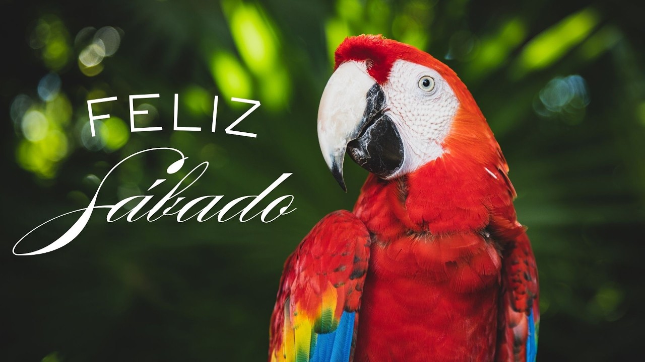 IASD NUEVA ESPERANZA | SABADO 14 DE FEBRERO |