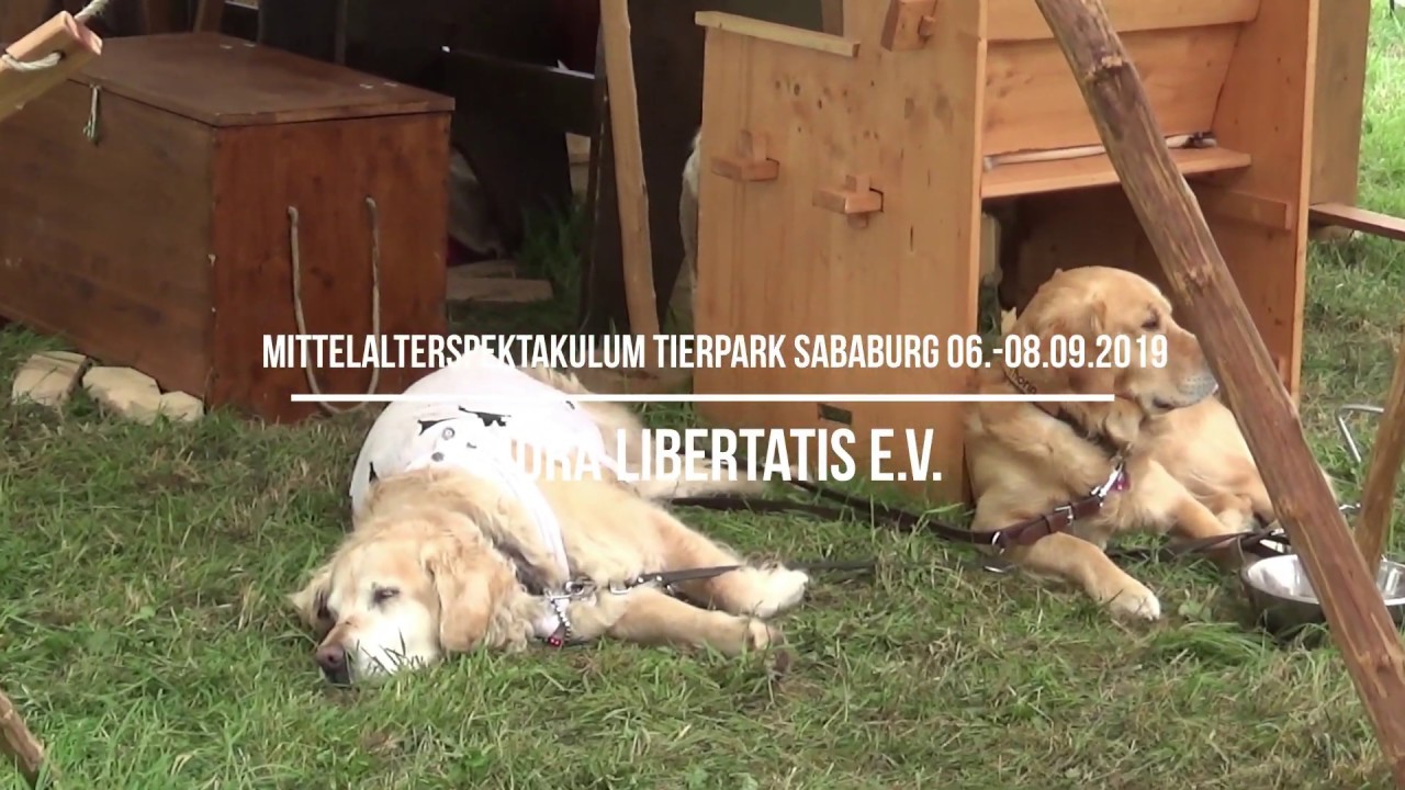 Mittelalter Spektakulum Tierpark Sababurg 06.-08.09.2019