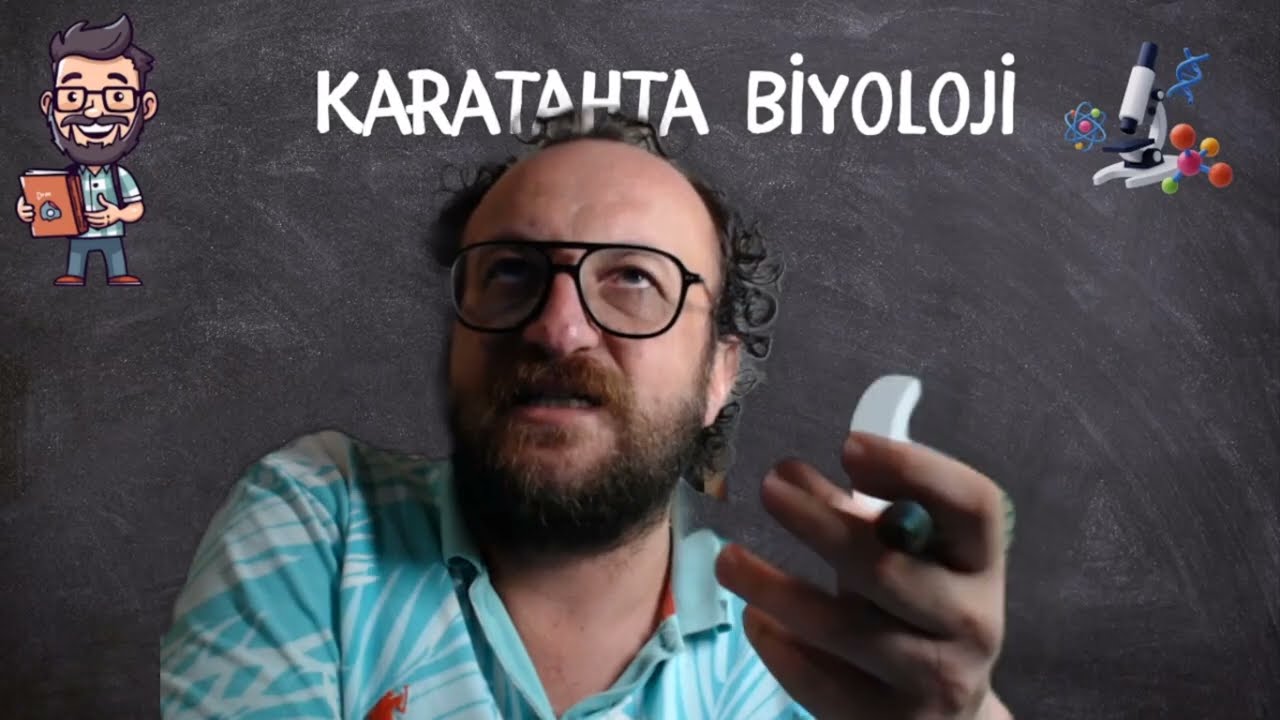 Dif&uuml;zyon Basit Dif&uuml;zyon