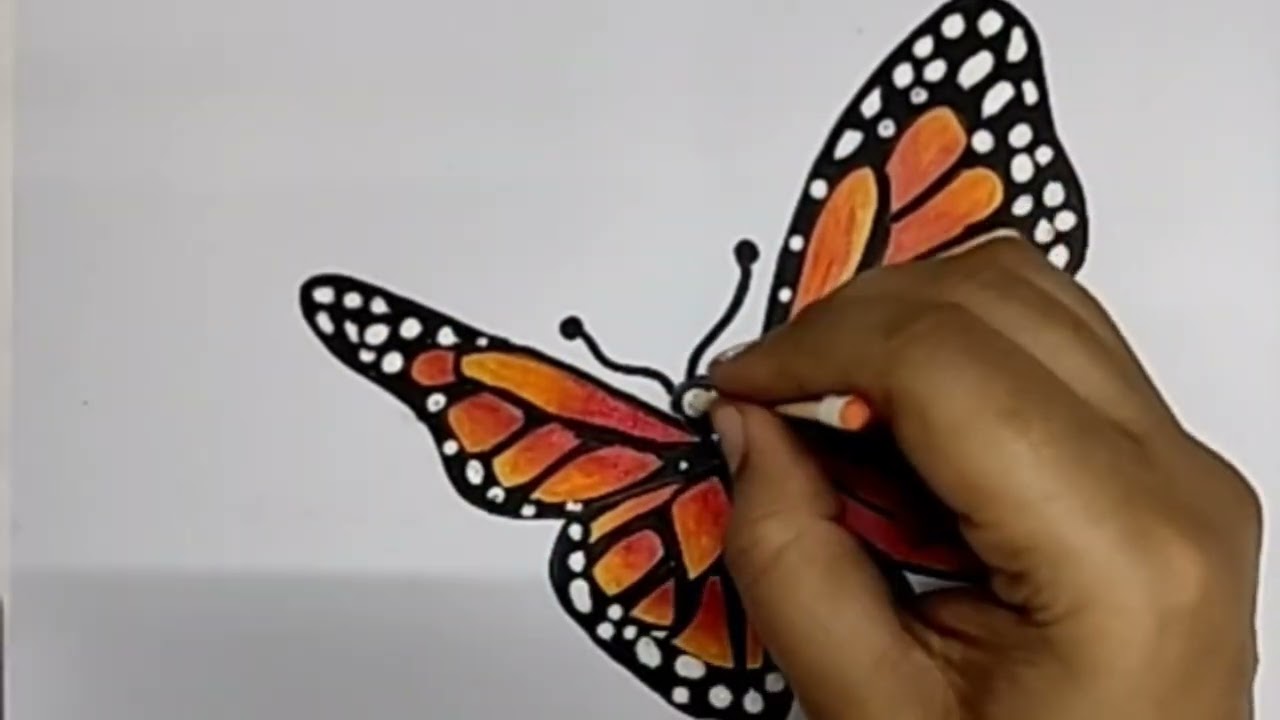 3D butterfly easy drawing/easy butterfly/how to make 3D butterfly 