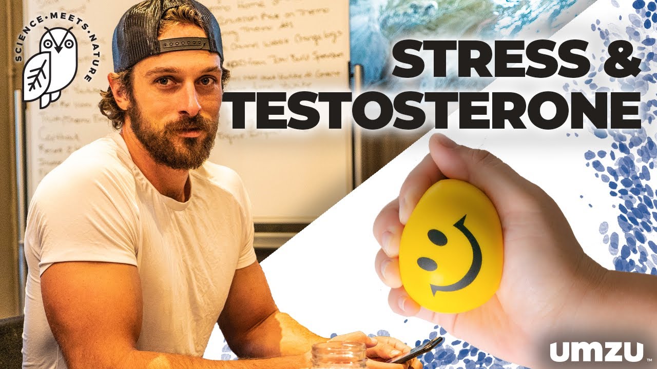 Stress And Testosterone: How To Reduce Stress and Cortisol Hormone