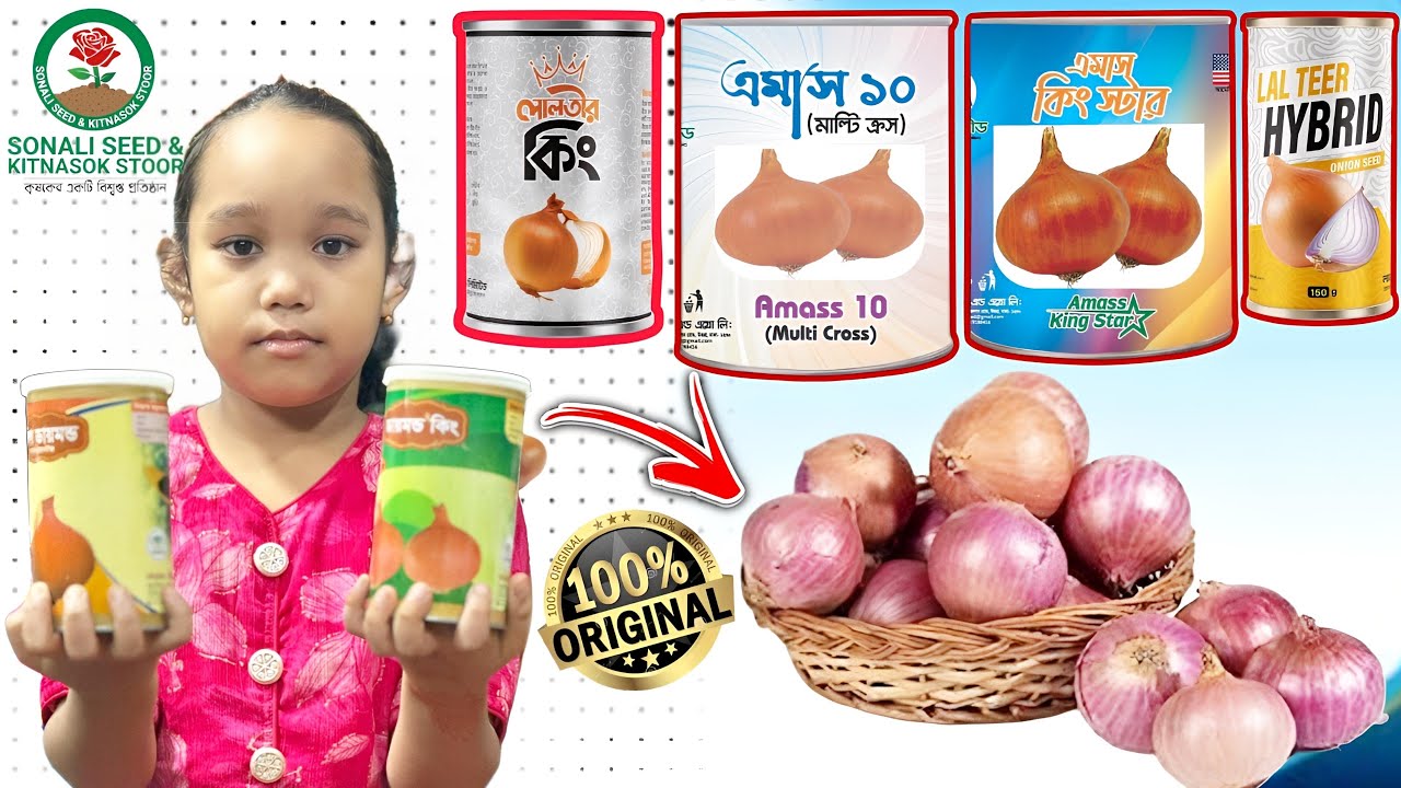 কম টাকায় পেঁয়াজ বীজ ক্রয় করতে যোগাযোগ করুন ০১৭১৪-৯২৪৩২৬ 
