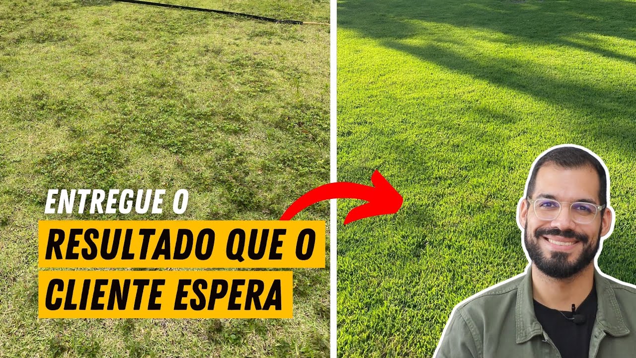 Como ELIMINAR o MATO do GRAMADO (profissional)