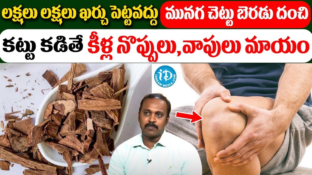 Sudhakar Reddy | మునగ చెట్టు బెరడు దంచి కట్టు కడితే, కీళ్ల నొప్పులు, వాపులు పత్తలేకుండా పోతాయి | iD