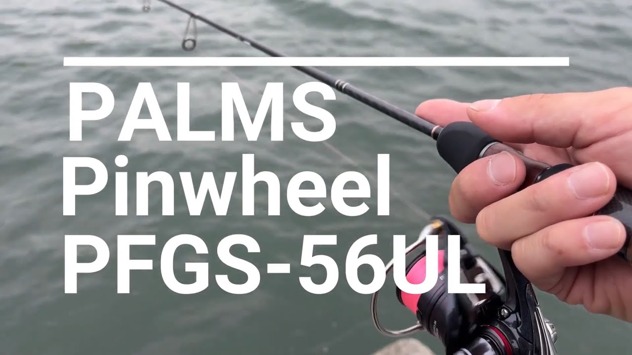 【PALMS】PFGS-56UL (Extra Fast)